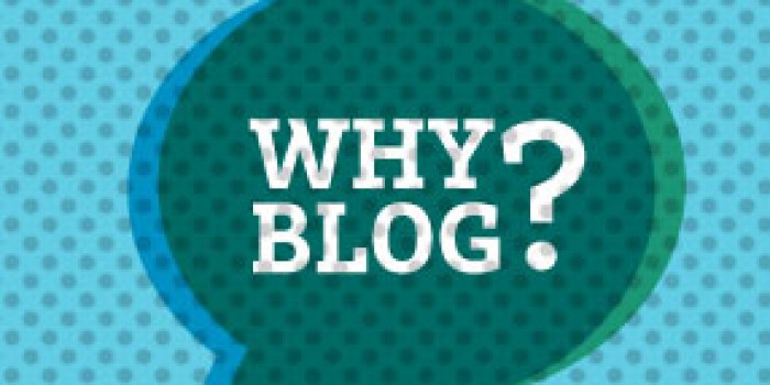 Why This Video Test Drive Blog?